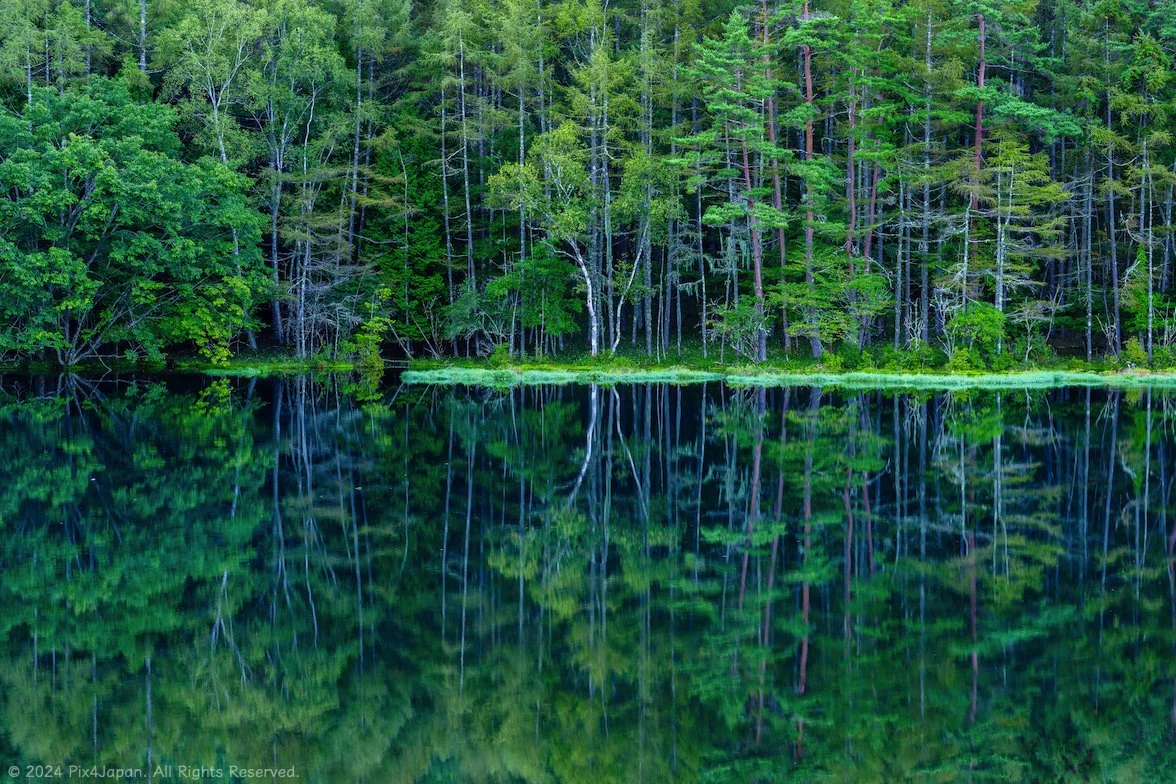 Landscape Photography | Discover Stunning Landscapes Today — Pix4Japan